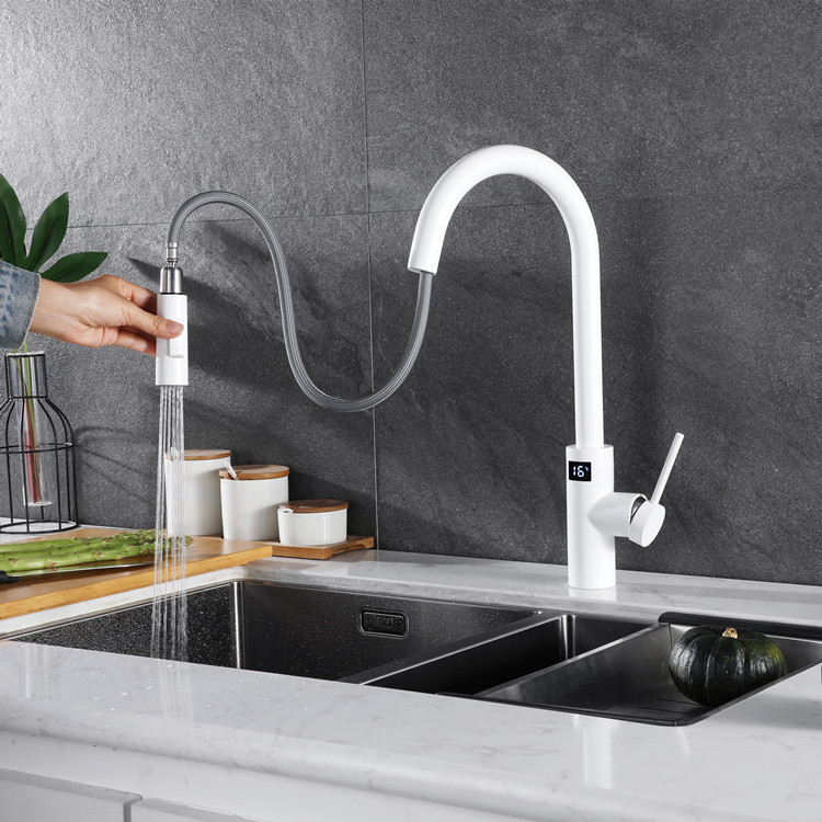 White Touch on Digital Kitchen - Kitchen Appliances In White のレビューと価格