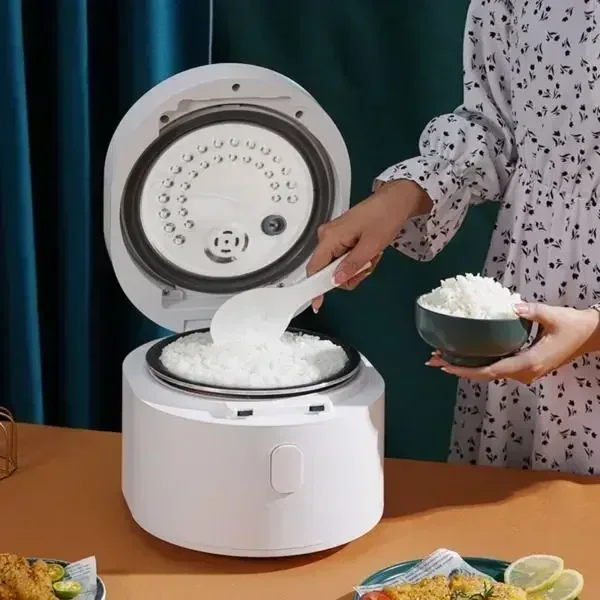 110v smart Rice cooker 3L rice - Kitchen Appliances Canada のレビューと価格