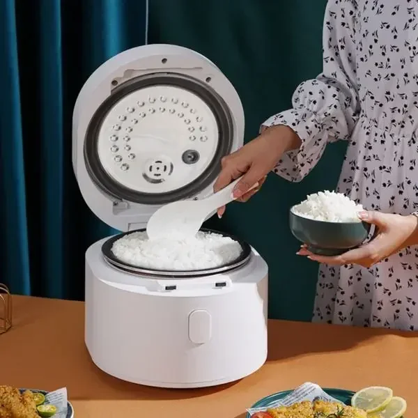 110v smart Rice cooker 3L rice - Kitchen Appliances Canada のレビューと価格